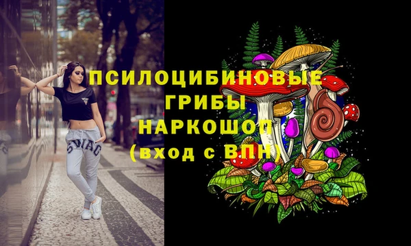 PSILOCYBIN Краснослободск