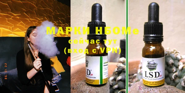 индика Корсаков