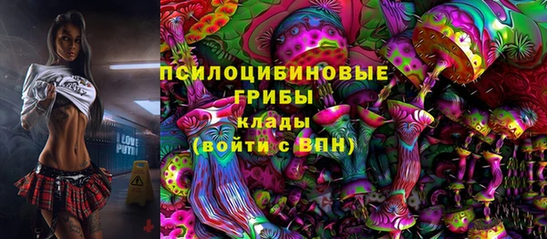 индика Корсаков