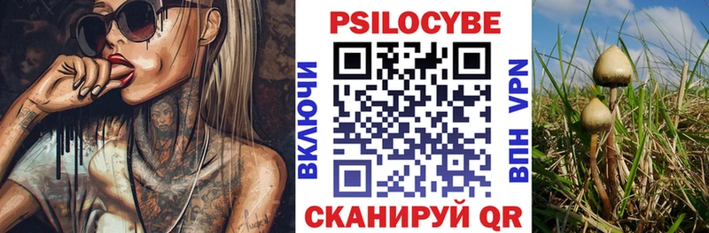 Псилоцибиновые грибы Psilocybine cubensis  Харабали 